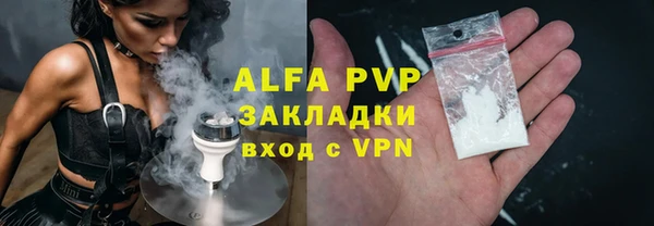 стафф Алзамай