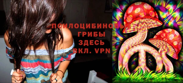 ECSTASY Алексеевка