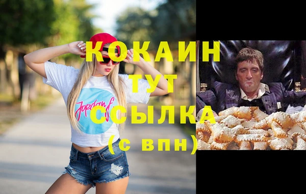 стафф Алзамай